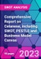 Comprehensive Report on Celanese, including SWOT, PESTLE and Business Model Canvas - Product Thumbnail Image