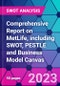 Comprehensive Report on MetLife, including SWOT, PESTLE and Business Model Canvas - Product Thumbnail Image