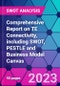 Comprehensive Report on TE Connectivity, including SWOT, PESTLE and Business Model Canvas - Product Thumbnail Image