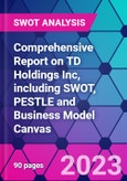 Comprehensive Report on TD Holdings Inc, including SWOT, PESTLE and Business Model Canvas- Product Image