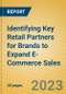Identifying Key Retail Partners for Brands to Expand E-Commerce Sales - Product Image