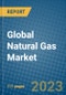 Global Natural Gas Market 2023-2030 - Product Image