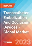 Transcatheter Embolization And Occlusion Devices - Global Market Insights, Competitive Landscape, and Market Forecast - 2028- Product Image