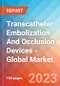 Transcatheter Embolization And Occlusion Devices - Global Market Insights, Competitive Landscape, and Market Forecast - 2028 - Product Image