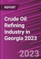 Crude Oil Refining Industry in Georgia 2023 - Product Thumbnail Image