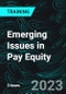 Emerging Issues in Pay Equity - Product Thumbnail Image