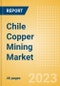 Chile Copper Mining Market by Reserves and Production, Assets and Projects, Fiscal Regime Including Taxes and Royalties, Key Players and Forecast to 2030 - Product Thumbnail Image