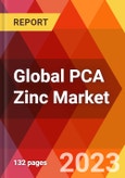Global PCA Zinc Market, By Type; By Application-Estimation & Forecast, 2017-2030- Product Image