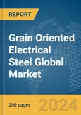 Grain Oriented Electrical Steel Global Market Report 2024- Product Image