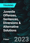 Juvenile Offenses, Sentences, Diversions & Alternative Solutions- Product Image