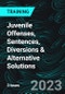 Juvenile Offenses, Sentences, Diversions & Alternative Solutions (Recorded) - Product Thumbnail Image
