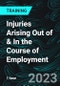 Injuries Arising Out of & in the Course of Employment - Product Thumbnail Image