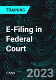 E-Filing in Federal Court- Product Image