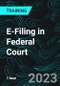 E-Filing in Federal Court - Product Thumbnail Image