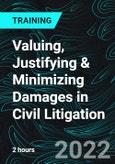 Valuing, Justifying & Minimizing Damages in Civil Litigation- Product Image