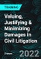 Valuing, Justifying & Minimizing Damages in Civil Litigation (Recorded) - Product Image