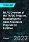 MLRI: Overview of the TAFDC Program, Massachusetts Cash Assistance Program for Families - Product Thumbnail Image
