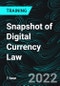 Snapshot of Digital Currency Law - Product Thumbnail Image