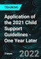 Application of the 2021 Child Support Guidelines - One Year Later - Product Thumbnail Image