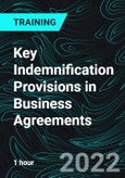 Key Indemnification Provisions in Business Agreements- Product Image