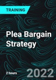 Plea Bargain Strategy- Product Image