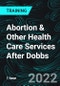 Abortion & Other Health Care Services After Dobbs (Recorded) - Product Thumbnail Image