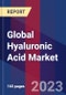 Global Hyaluronic Acid Market Size, Share, Growth Analysis, By Application - Industry Forecast 2023-2030 - Product Image