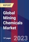 Global Mining Chemicals Market Size, Share, Growth Analysis, By Ore Type, By Application - Industry Forecast 2023-2030 - Product Image
