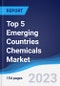 Top 5 Emerging Countries Chemicals Market Summary, Competitive Analysis and Forecast to 2027 - Product Image