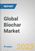Global Biochar Market- Product Image