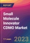 Small Molecule Innovator CDMO Market Size, Market Share, Application Analysis, Regional Outlook, Growth Trends, Key Players, Competitive Strategies and Forecasts, 2023 to 2031 - Product Image