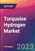 Turquoise Hydrogen Market Size, Market Share, Application Analysis, Regional Outlook, Growth Trends, Key Players, Competitive Strategies and Forecasts, 2023 to 2031- Product Image