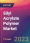 Silyl Acrylate Polymer Market Size, Market Share, Application Analysis, Regional Outlook, Growth Trends, Key Players, Competitive Strategies and Forecasts, 2023 to 2031 - Product Image