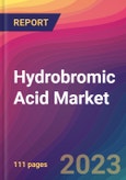 Hydrobromic Acid Market Size, Market Share, Application Analysis, Regional Outlook, Growth Trends, Key Players, Competitive Strategies and Forecasts, 2023 to 2031- Product Image