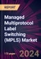 Managed Multiprotocol Label Switching (MPLS) Market 2024-2028 - Product Thumbnail Image