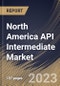 North America API Intermediate Market Size, Share & Industry Trends Analysis Report By Type (Bulk Drug Intermediates, and Chemical Intermediates), By End User (Biotech & Pharmaceutical Companies, CMO), By Application, By Country and Growth Forecast, 2023 - 2030 - Product Image