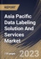 Asia Pacific Data Labeling Solution And Services Market Size, Share & Industry Trends Analysis Report By Type, By Labeling Type (Manual, Semi-Supervised, and Automatic), By Sourcing Type, By Vertical, By Country and Growth Forecast, 2023 - 2030 - Product Thumbnail Image