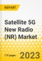 Satellite 5G New Radio (NR) Market - A Global and Regional Analysis: Focus on Frequency Band, Services, End User, Terminal Type, and Country - Analysis and Forecast, 2023-2033 - Product Thumbnail Image