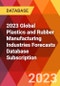 2023 Global Plastics and Rubber Manufacturing Industries Forecasts Database Subscription - Product Thumbnail Image