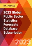 2023 Global Public Sector Statistics Forecasts Database Subscription- Product Image
