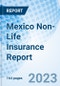 Mexico Non-Life Insurance Report - Product Thumbnail Image