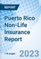 Puerto Rico Non-Life Insurance Report - Product Thumbnail Image