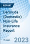 Bermuda (Domestic) Non-Life Insurance Report - Product Thumbnail Image