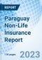 Paraguay Non-Life Insurance Report - Product Thumbnail Image