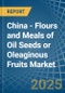 China - Flours and Meals of Oil Seeds or Oleaginous Fruits - Market Analysis, Forecast, Size, Trends and Insights - Product Image