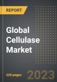 Global Cellulase Market (2023 Edition): Analysis By Source (Fungi, Bacteria, Cell Culture, Others), End-Use Industry, By Region, By Country: Market Insights and Forecast (2019-2029)- Product Image