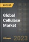 Global Cellulase Market (2023 Edition): Analysis By Source (Fungi, Bacteria, Cell Culture, Others), End-Use Industry, By Region, By Country: Market Insights and Forecast (2019-2029) - Product Image
