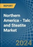 Northern America - Talc and Steatite - Market Analysis, Forecast, Size, Trends and Insights- Product Image