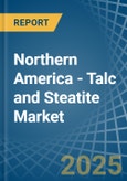 Northern America - Talc and Steatite - Market Analysis, Forecast, Size, Trends and Insights- Product Image