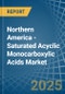 Northern America - Saturated Acyclic Monocarboxylic Acids - Market Analysis, Forecast, Size, Trends and Insights - Product Image